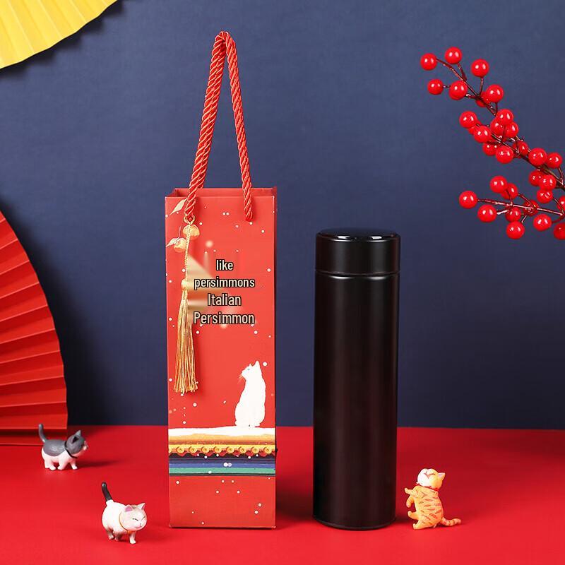 Dieshe Insulated Stainless Steel Water Bottle Gift Set