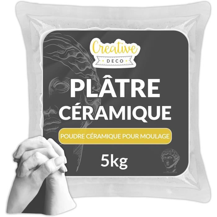 Plâtre Pour Moulage - Creative Deco - 5kg - Blanc - Poudre De Céramique - Alginate Moulage