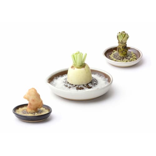 Motoshige Grater (White, Small)