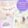 Regalo Birthday Letter Banner Birthday Garland Happy Birthday HAPPY BIRTHDAY Anniversary (Aurora Silver Airy)
