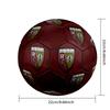 RC Lens Size 5 Soccer Ball, Machine-Stitched PVC, Durable & High Bounce, All Ages Fit, fan merchandise, matches & outdoor use.