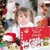 2025 Cat Toy Festive Advent Calendar 24 Days Christmas Countdown Calendar for Cats Kittens Holiday Party Favors for Pet Lovers