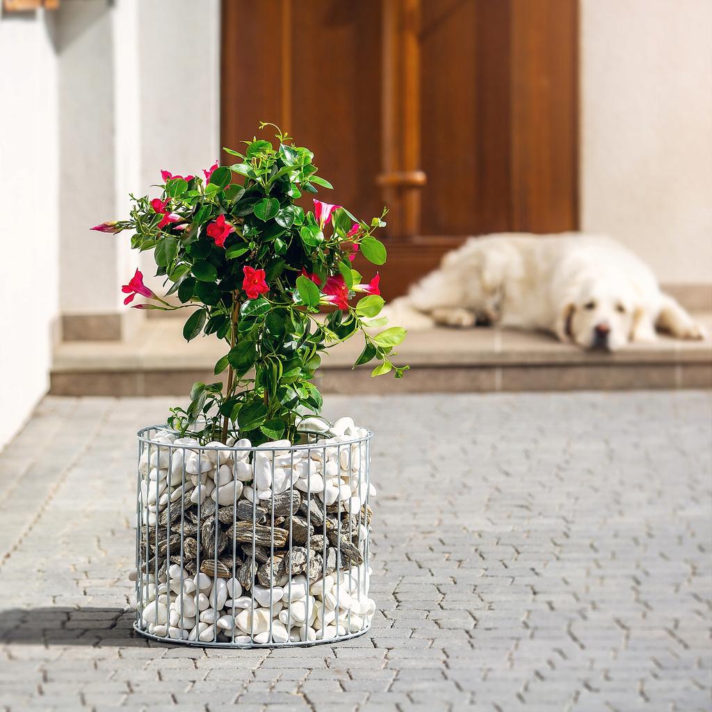 KADAX Gabion Pot Gabion Cover Steel For Flowers Stone Garden Outdoor