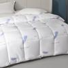 Tangna Cloud-Soft Duck Down Quilt