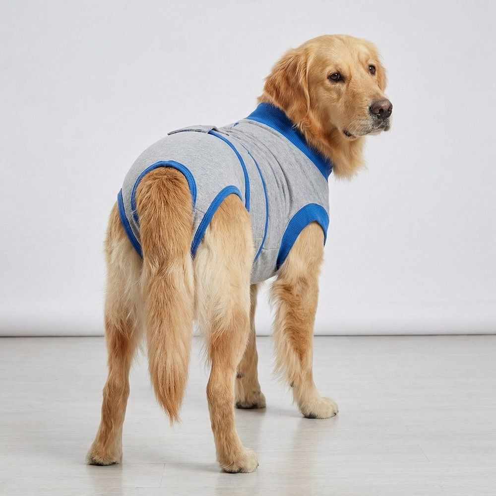 Breathable Dog Sterilization Clothes Soft Postoperative Bodysuit  Sanitary Protection