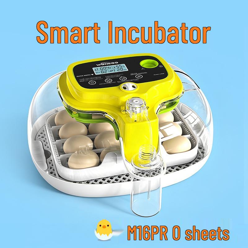 Smart Mini Egg Incubator for Parrots and Budgies: Automatic Pet Hatchery Equipment