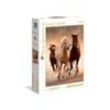 1000 Piece Puzzle. HQ Running Horses