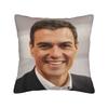 Pillow Case Pedro Sanchez Print  Pillow Cover For Chair Sofa Home Decor Novelty Pillowcases