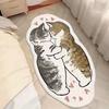 Cartoon Irregular Faux Cashmere Rug