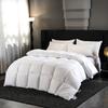 Ally Four-Season Thickened Cotton Duvet Insert