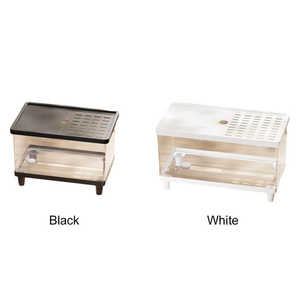 Transparent Reptile Terrarium Visual Reptile Habitat Insect Observation Box  Amphibians