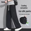 FARUISHI Men's Ice Silk Mesh Quick Dry Casual Pants