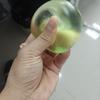 Needoh Maltose Gentle-Recovery Squishy - Counter Stress Tactile Fidget Ball, Transparent Decompression Toy For Desk & Travel
