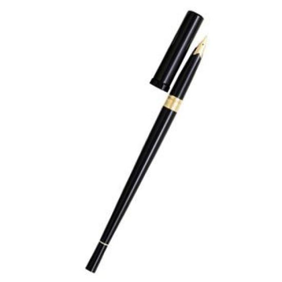 Pilot Desk Pen DP500BM