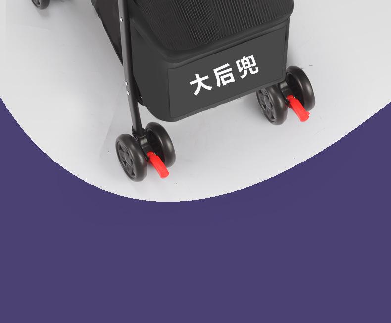 Lightweight Folding Pet Stroller for Cats & Small Dogs