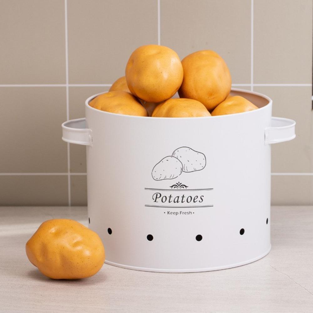 Carbon Steel Garlic Storage Bin with Lid Potato Storage Container  Farmhouse