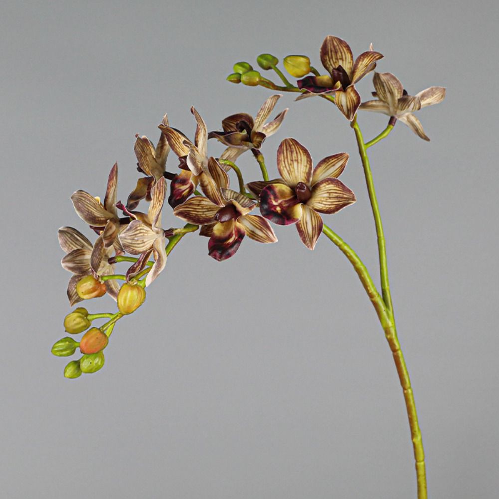 Real Touch Artificial Phalaenopsis Branches 2 Fork Fake Flowers  Garden Decoration