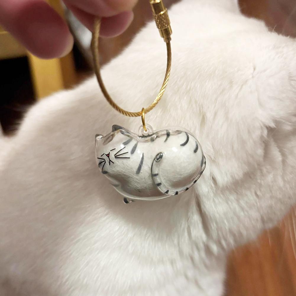 1/6pcs Kawaii Cat Hair Storage Box Transparent Pet Hair Keepsake Pendant for Pet Memorial Healing Pendant Cat Lover Keyring Accessory