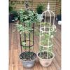 Rust-resistant Garden Stainless Steel Trellis U-Shaped Rings Garden Plant Stake
