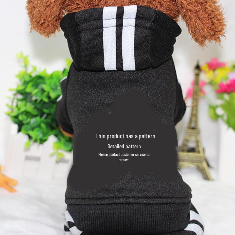 Ρούχα για Κουτάβια Teddy: Ζεστά Φθινοπωρινά & Χειμερινά Ρούχα για Πουντλ, Μπισόν και Πομεράνιαν