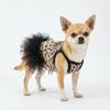 Fashion Leopard Dog Dress with Tulle Skirt Cute Pet Princess Outfit for Small Breeds Party Photoshoot Daily Wear
