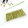 Miniature Shrubs Miniature Grass Cluster Terrain Model Kit Static Grass Tuft  Farmland House