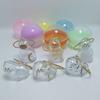 Cat Hair Storage Bottle Transparent Pet Fur Keepsake Keychain for Collecting Cat And Dog Hair Pet Memorial Gift