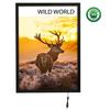 Magnetic illuminated frame A1