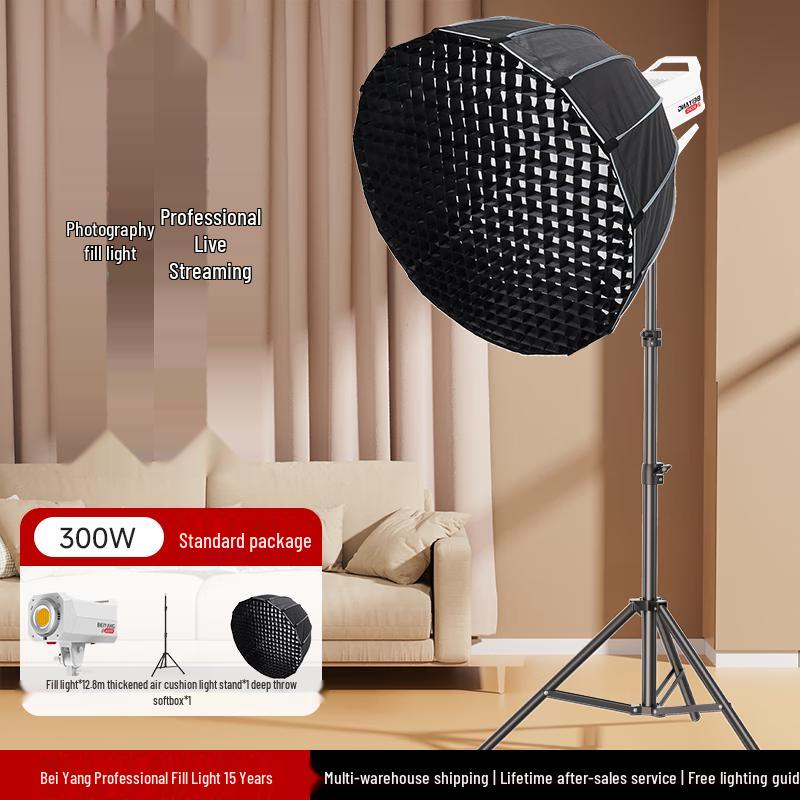 Beiyang 300W COB LED Video Fill Light