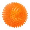EETOYS Spiky Squeaky Chew Ball Dog Toy