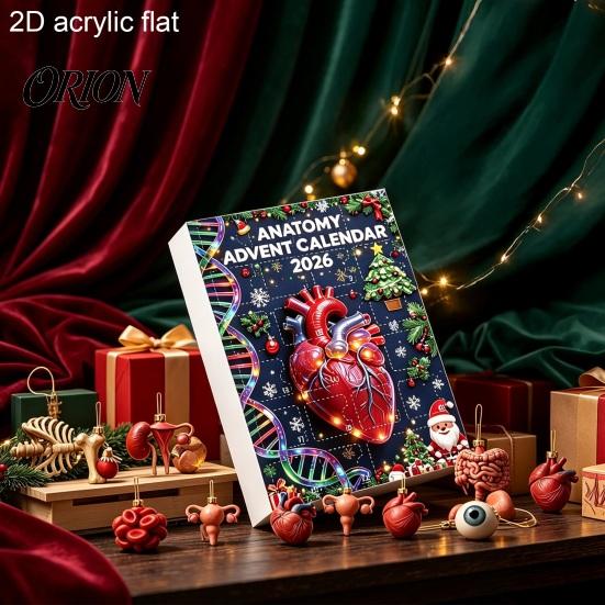 Kreativní vědecká dekorace 2026 Anatomický adventní kalendář, 24denní sada ozdob na tělesné orgány, Realistické lidské anatomické dekorace k zavěšení na Vánoce