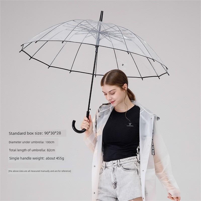 Transparent Long-Handle Umbrella with 16 Reinforced Ribs, Fresh Style, 8-Rib Transparent Umbrella, Fresh Sun Umbrella, Unisex Long-Handle