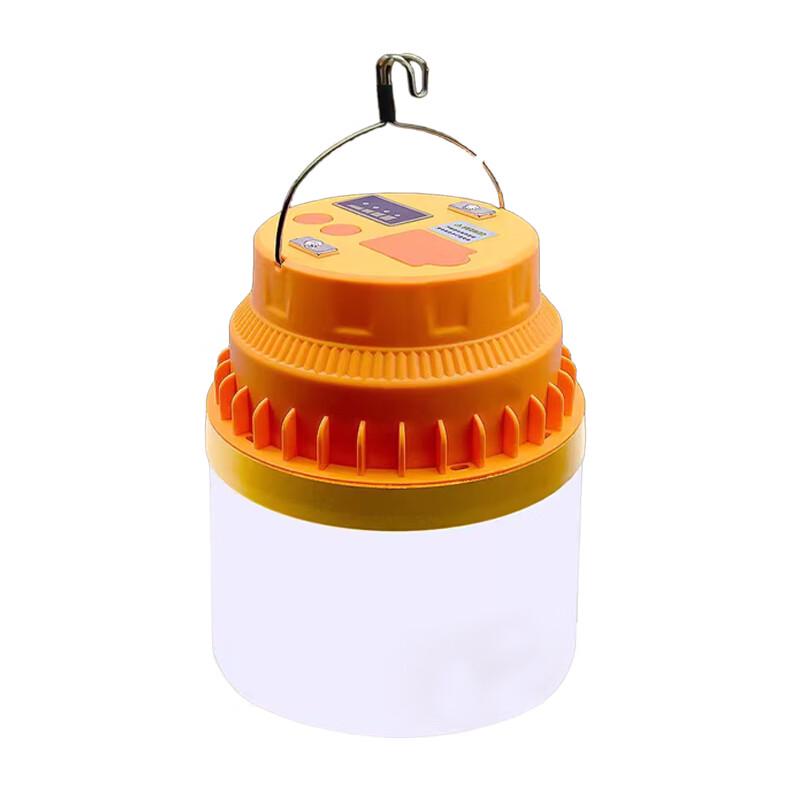 Rechargeable Portable Emergency LED Light Bulb