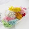 Matte Pearlescent Flower Core Hairpin DIY Jewelry Accessory