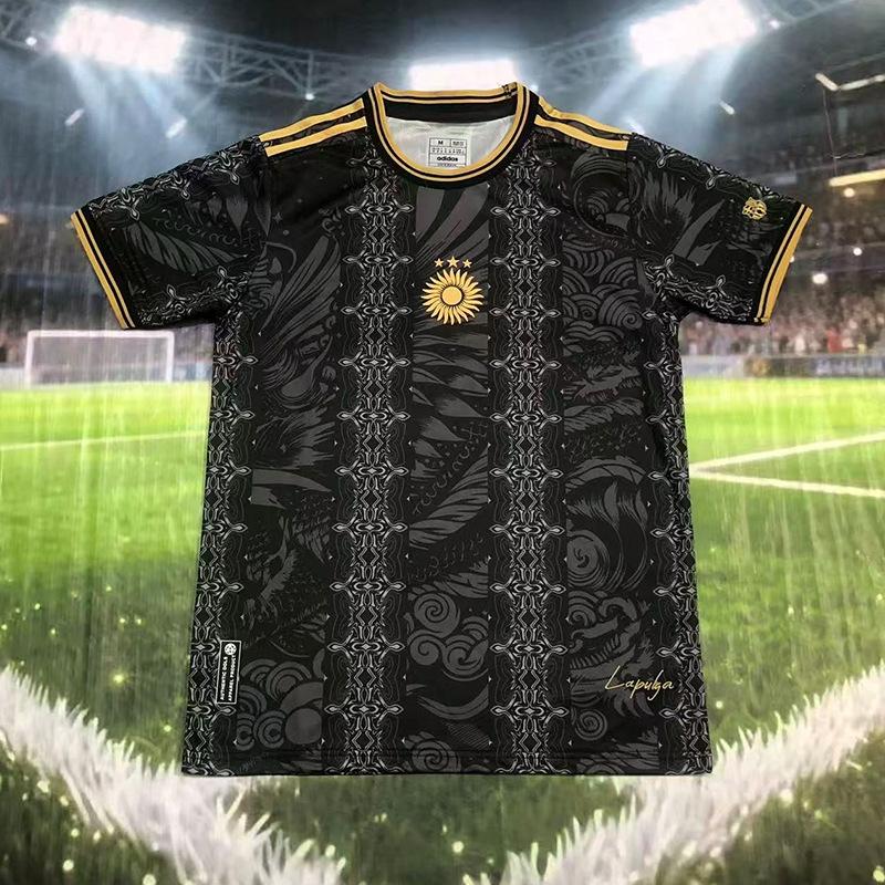 26 World Cup Argentina Fan Edition Home No. 10 Football Jersey