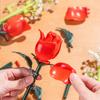Plant And Flower Building Blocks Building Set, Single Rose, Sunflower, Tulip, Etc., Home Decoration Block Toy Gift For Girls