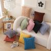Plushie Pillowcase Luxurious Double Sided Pattern Pillow Cover Providing Softness And Easy Maintenance Cushion Cover