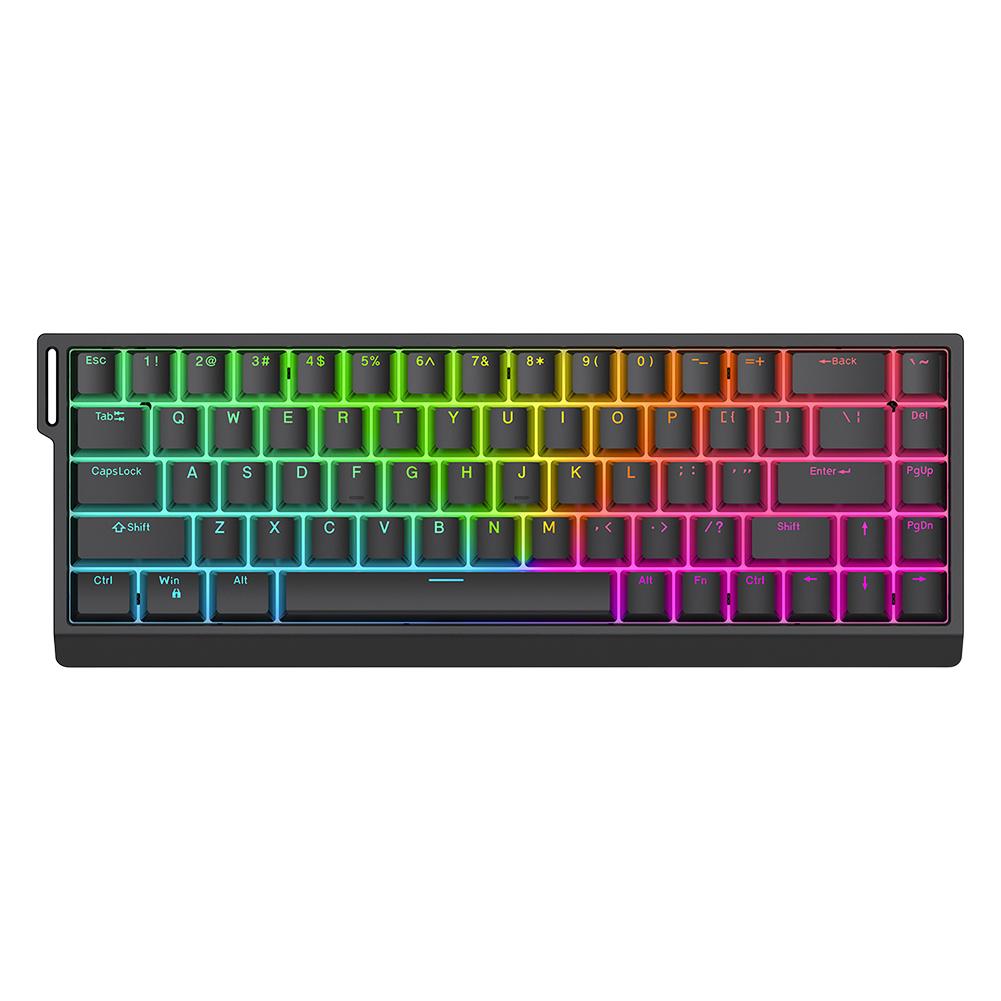 HE65 Wired Gamer Keyboards 68 Keys Magnetic Switch Compact Keyboard Hot Swappable Computer Keyboard for ESports Gaming Office