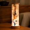 Multi-Color Adjustable Desk Lamp Dimmable Artistic Decoration Light Bedside Lamp  Living Room