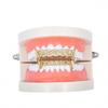 Hot-Selling European & American Hip Hop Halloween Grillz: Chain & Hollow Out Zircon Inlaid Fangs