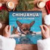 2026 Dog-Themed Wall Calendar January to December Family Planner for Home Bedroom School, Office Desk Calendar for Work