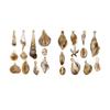 Pack Of 22 Acrylic Shell Charm For DIY Jewelry Making Ocean Theme Pendant For Necklaces And Bracelets