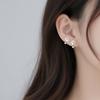 Silver Cat Earrings Korean Style Cat Paw Earrings Kitten Stud Earrings  Ear Accessories