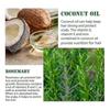 3pcs Rosemary Essential Oil For Hair Growth, Eyebrows And Eyelashes, Skin Care, Hair Loss Treatment Oil
