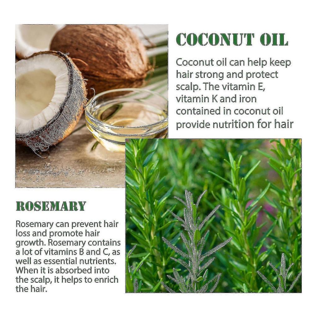 3pcs Rosemary Essential Oil For Hair Growth, Eyebrows And Eyelashes, Skin Care, Hair Loss Treatment Oil