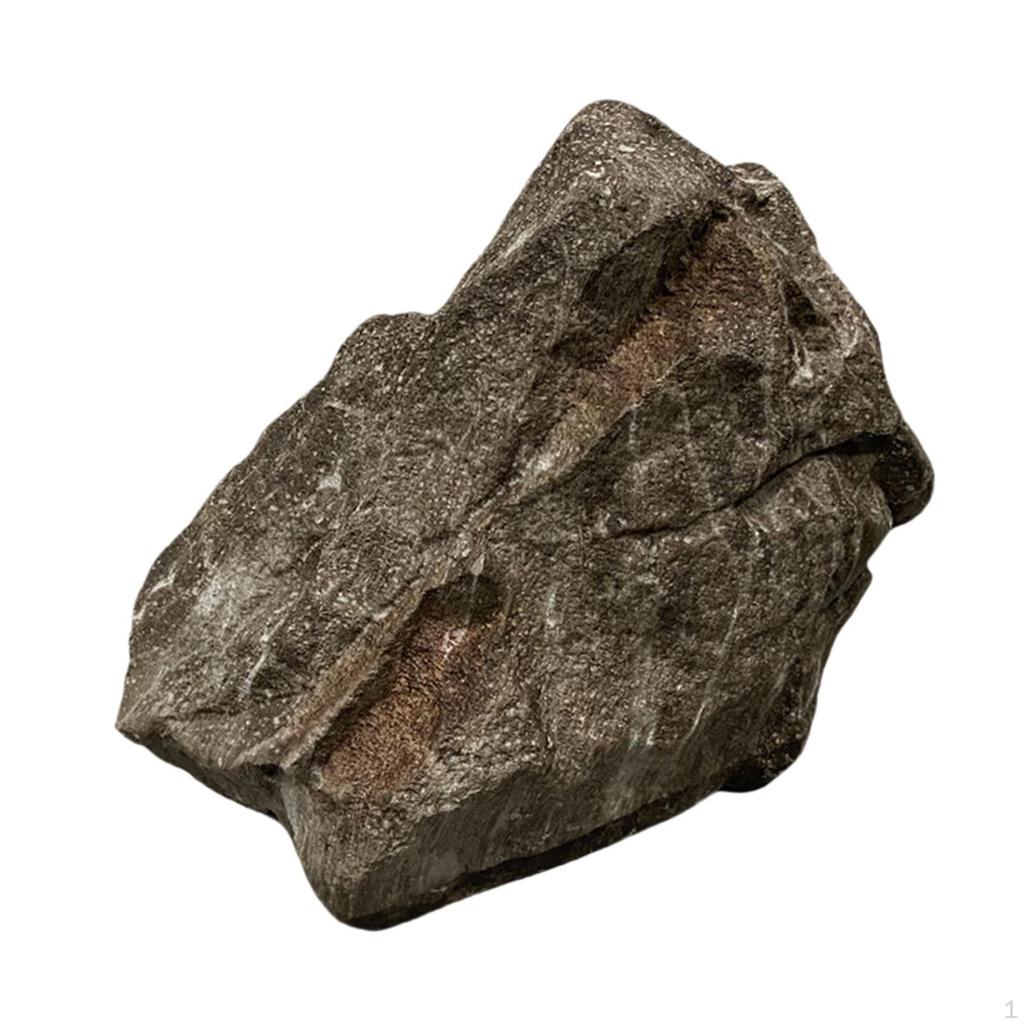 Artificial Rock Landscape Decoration, Decorative, Weather-resistant, Realistic Natural Texture for ,