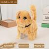 New Walking Kitty Plush Toy Electric Interactive Cat Stuffed Animal Meowing Tail Wagging Head Nodding Cat Pet Toy For Kids Gift