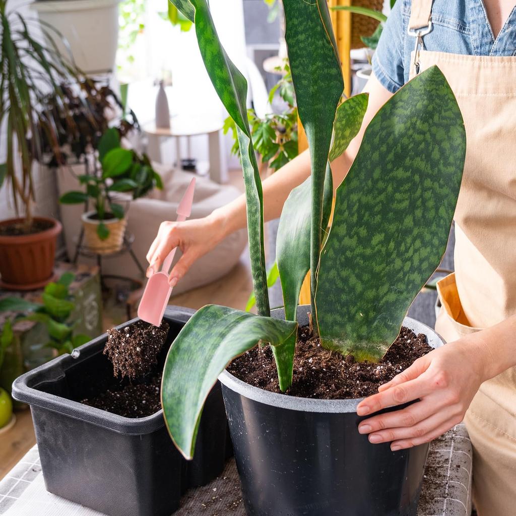 PATIKIL Mini Ogród Ręczny Narzędzie do Przesadzania Sukulentów 2 Narzędzie do Kopania i Sadzenia dla Roślin Bonsai Różowe Narzędzie, Sztuki, Pielęgnacja, DIY,