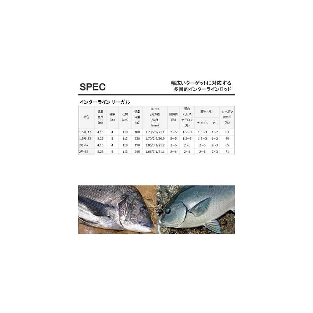 Daiwa IL Legal 1.5-42 Fishing Rod for Pier and Offshore Fishing
