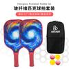 Fiberglass Pickleball Paddle Set Beginners USAPA Certified 2 Paddles 4 Balls Carry Bag